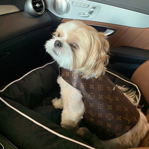 Meet your Posher, Gita - Picture 1 of 1